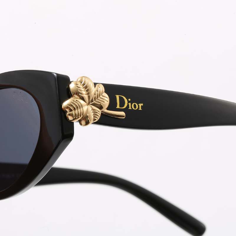 6041 Sunglasses with box