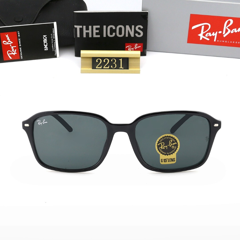 2231 Sunglasses with box