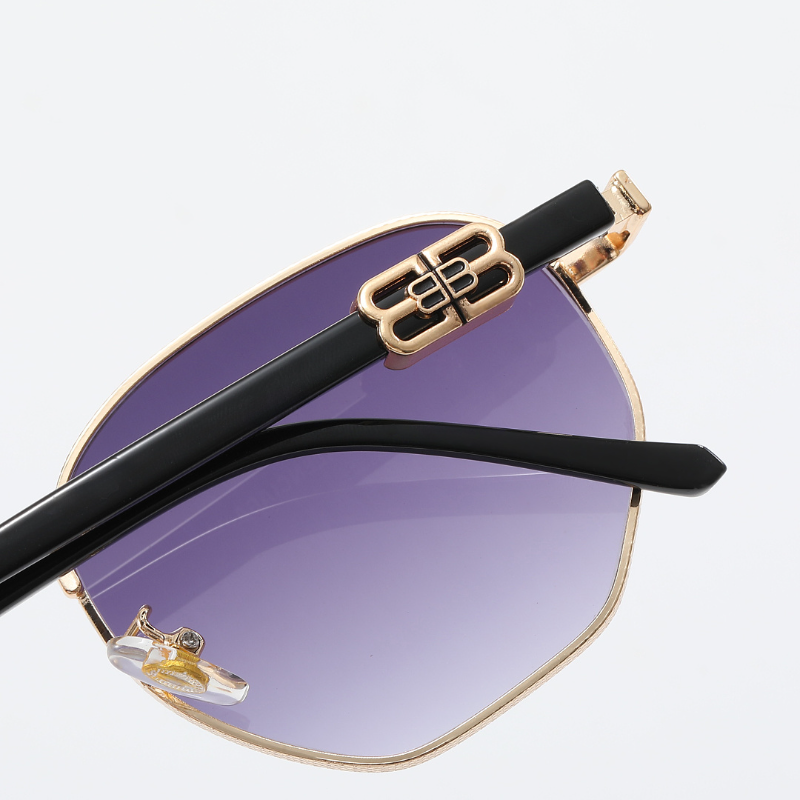 SH314 Sunglasses with box