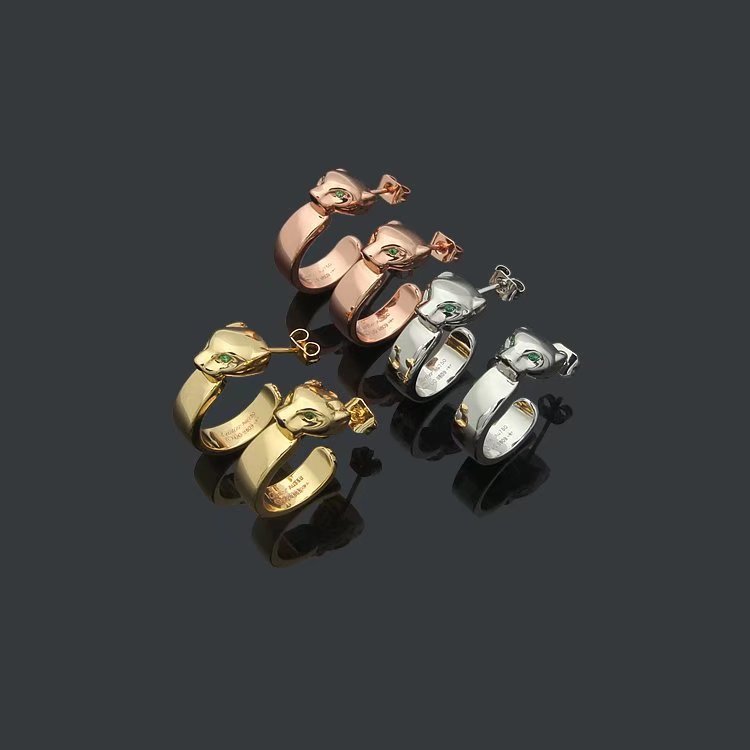CAE02 New Fashion Earring Jewelry