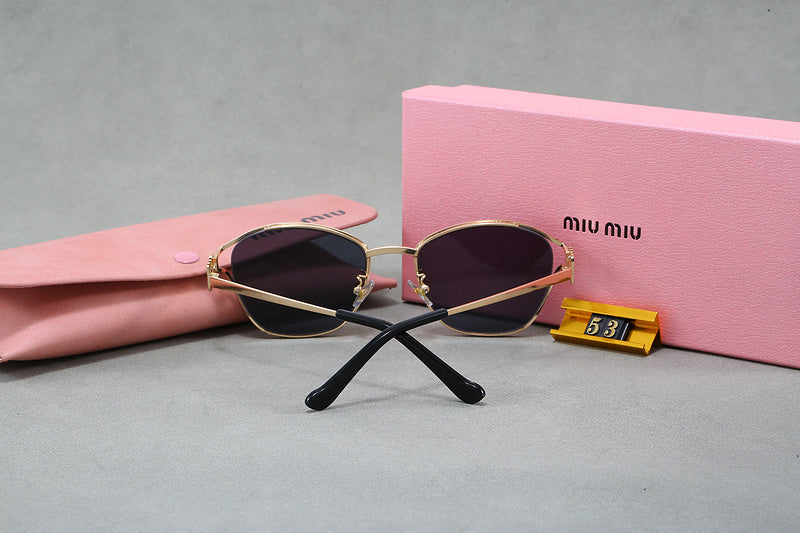 53 Sunglasses with box