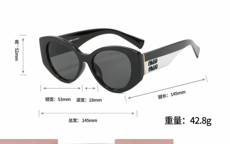 0300 Sunglasses with box