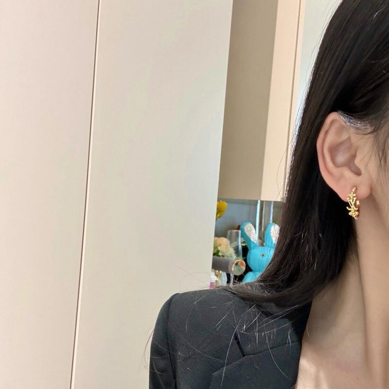 A1029 Women's new fashion earrings jewelry
