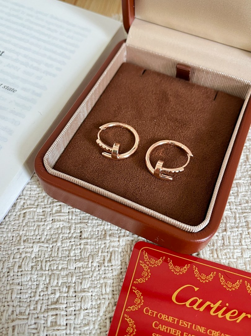A1243   Women's new fashionable titanium steel earrings and jewelry