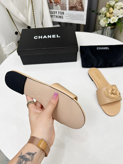 SHCS1 Women slipper Shoes 35-42 with box