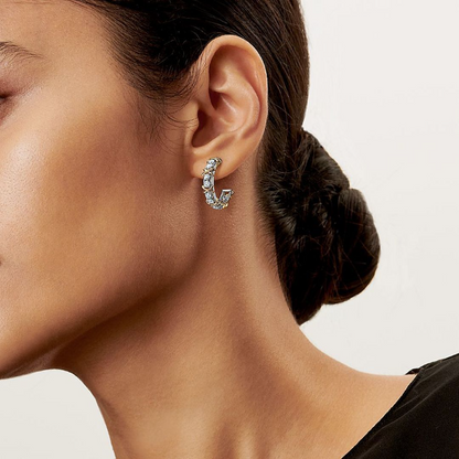 A1241  Women's new earring jewelry