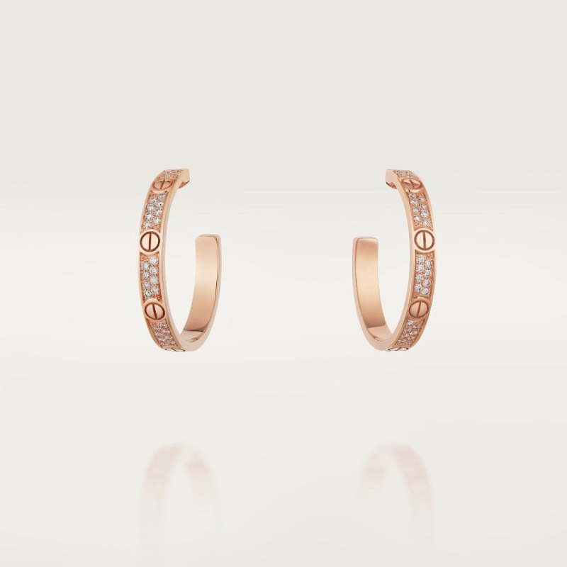 A1220 Women's new fashionable earrings and jewelry