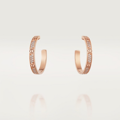 A1220 Women's new fashionable earrings and jewelry