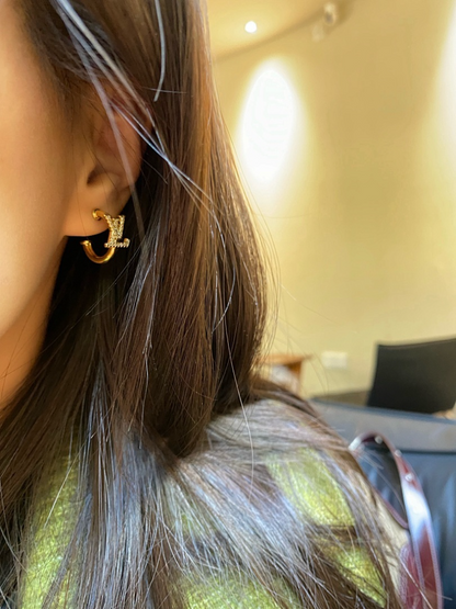 A1231   Women's new fashionable earring jewelry