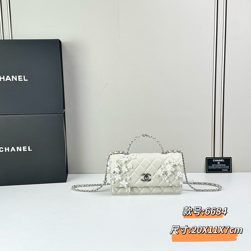 LCP61 bag 20-12-6cm Hand bag