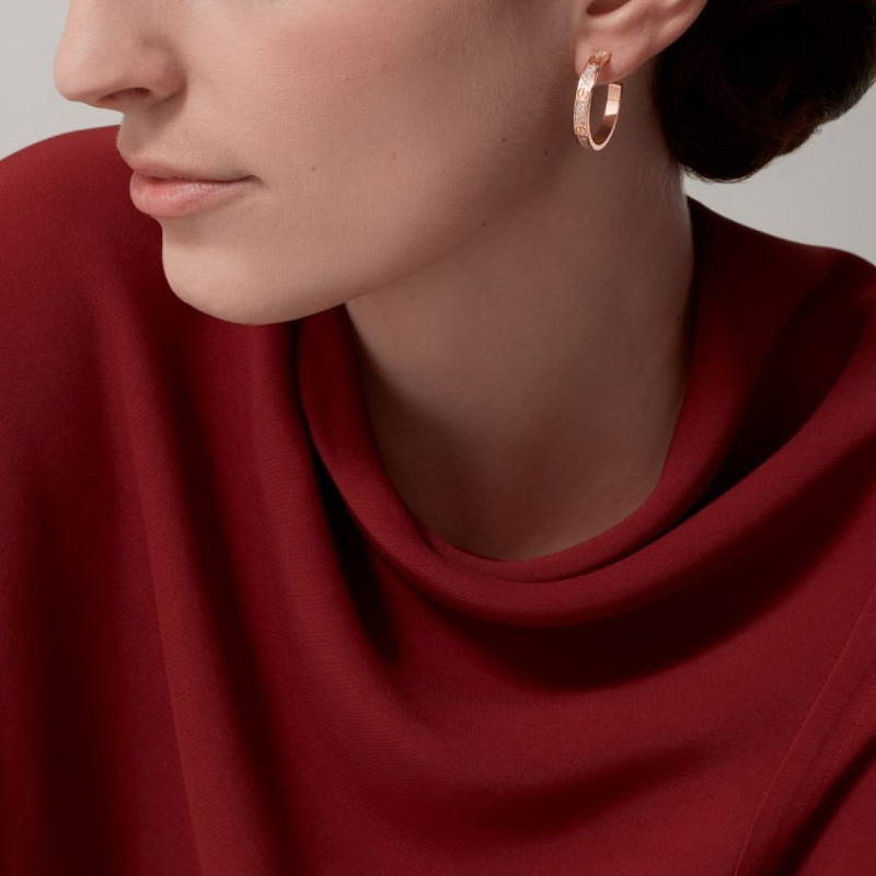 A1220 Women's new fashionable earrings and jewelry