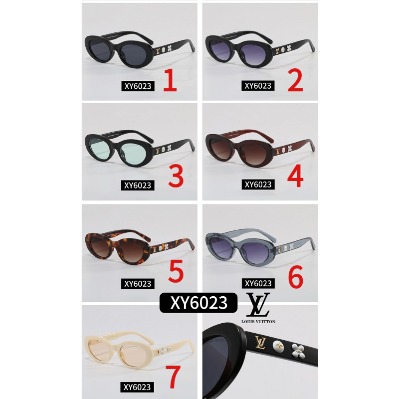 6023  Sunglasses with box