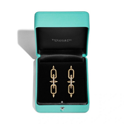 A1240   Women's new fashionable earring jewelry