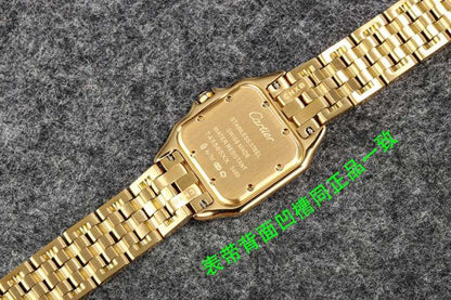 CW78   316L stainless steel case, intellectual women's watch 27 x 37/22*30 mm