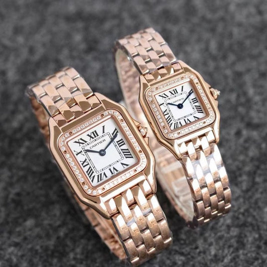 CW75   316L stainless steel case, intellectual women's watch 27 x 37/22*30 mm