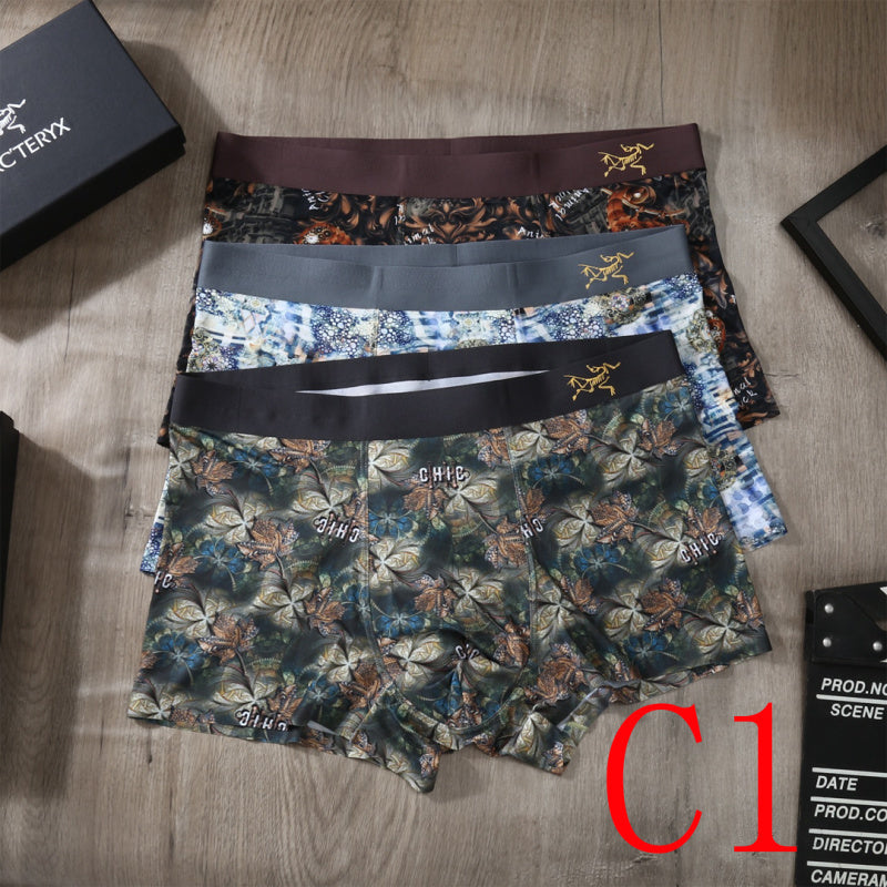 PTS2 All Underpants L-XXXL boxer briefs 3 with Box