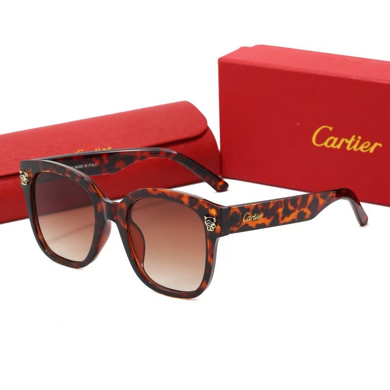 0376  Sunglasses with box