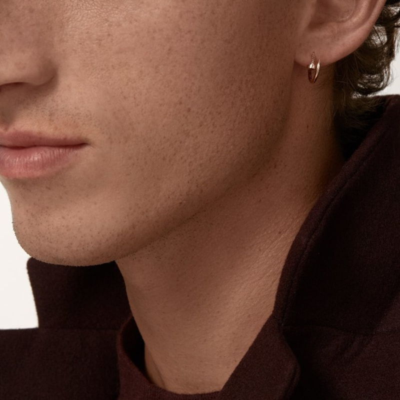 A1243   Women's new fashionable titanium steel earrings and jewelry