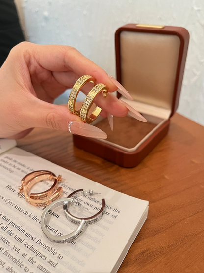 A1220 Women's new fashionable earrings and jewelry