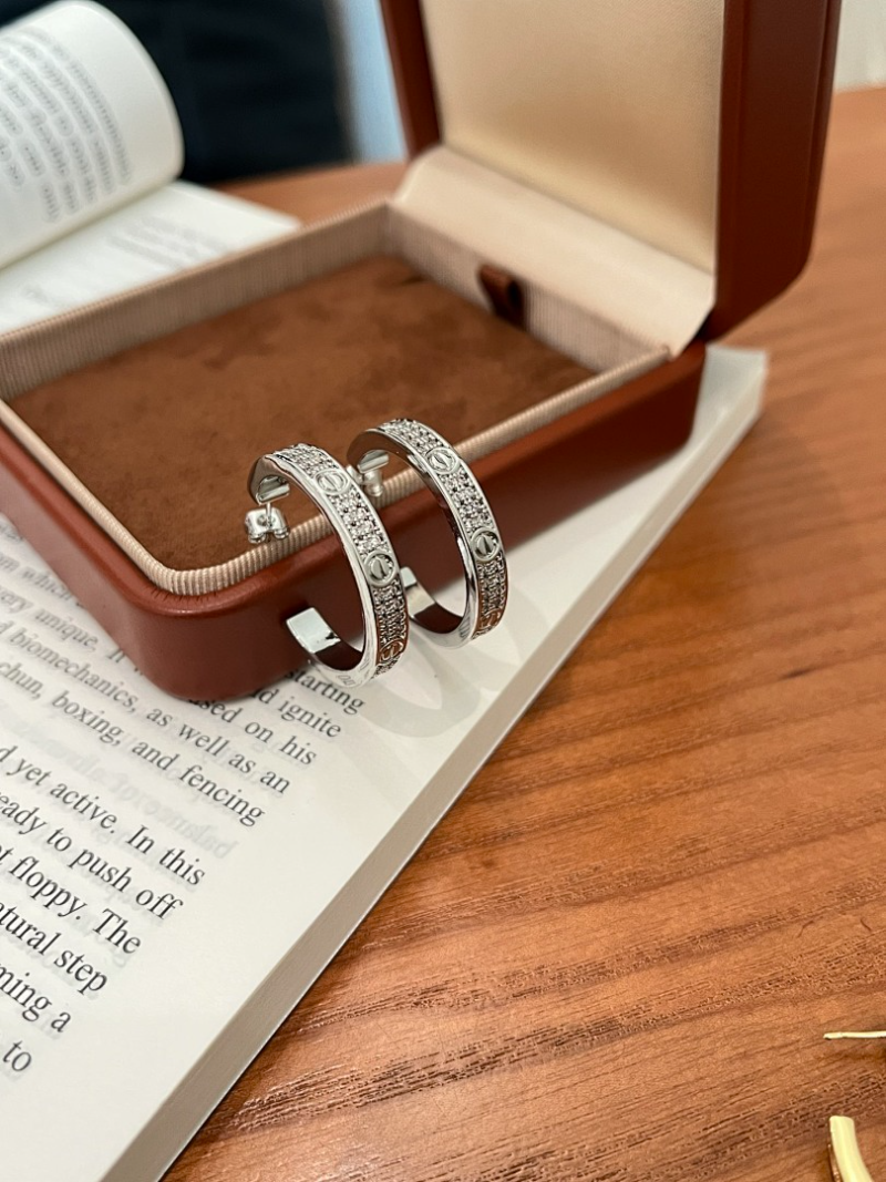 A1220 Women's new fashionable earrings and jewelry