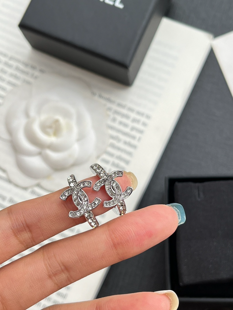 A1189  Women's new fashionable earring jewelry