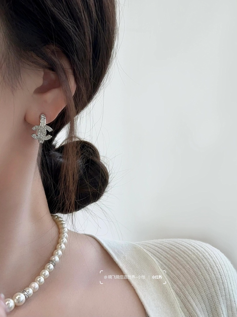 A1189  Women's new fashionable earring jewelry